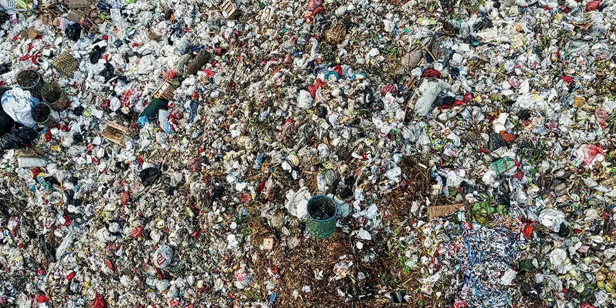 Plastic-Free Packaging: Why it Matters and How to Make the Switch